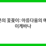 일본의 꽃꽂이: 아름다움의 예술, 이케바나
