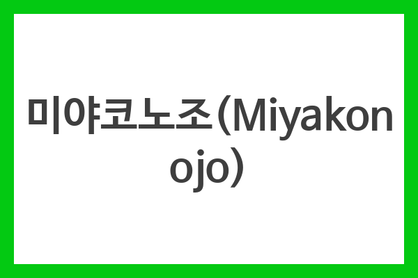 미야코노조(Miyakonojo)