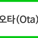 오타(Ota)