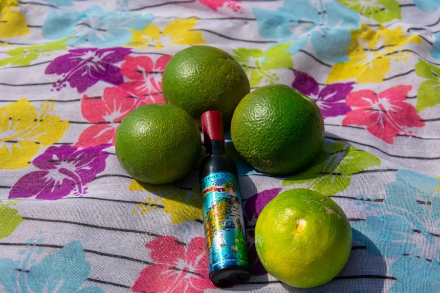 2026년 예상되는 일본 식생활 변화 사례 분석