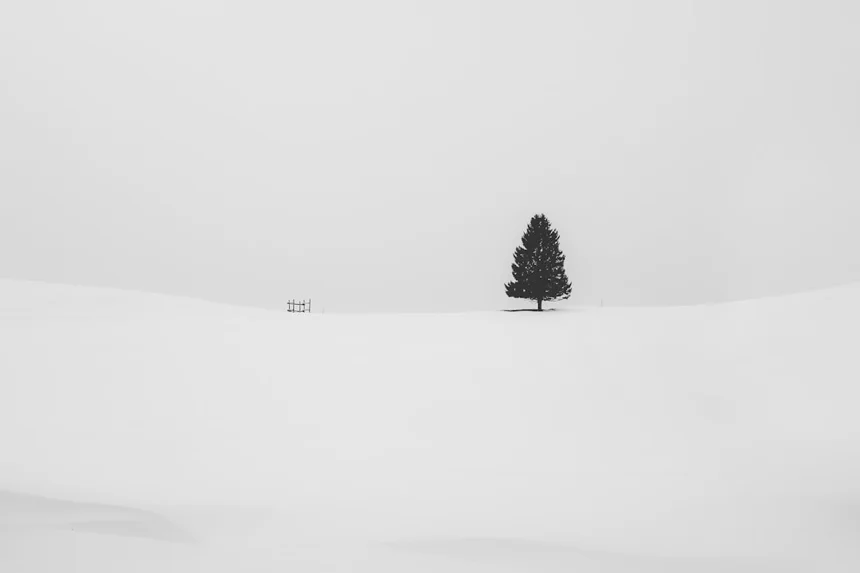 2026년 예상되는 일본 미니멀리즘 라이프스타일 변화와 트렌드