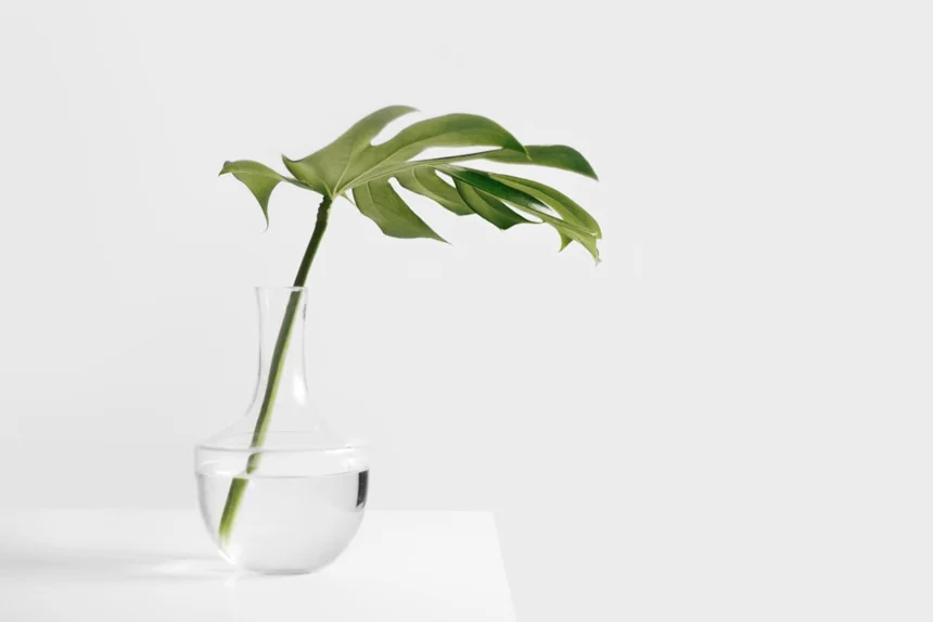 Minimalism