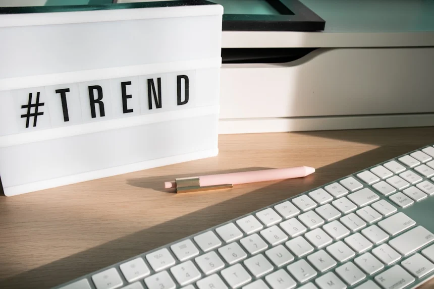 2026년 예상되는 일본 카루탈랑스 (カルタランス) 트렌드 분석