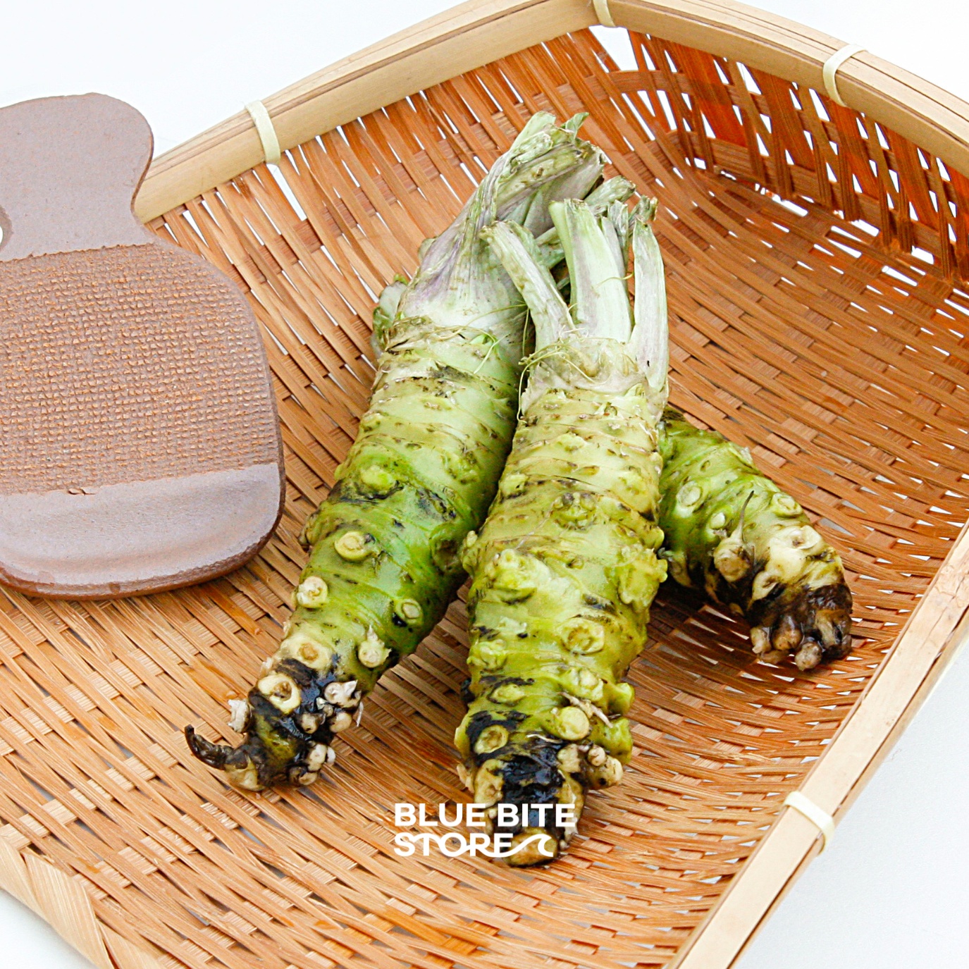 시즈오카 뿌리와사비 100% 생와사비 일본 고추냉이 추천템 진짜 맛의 비결