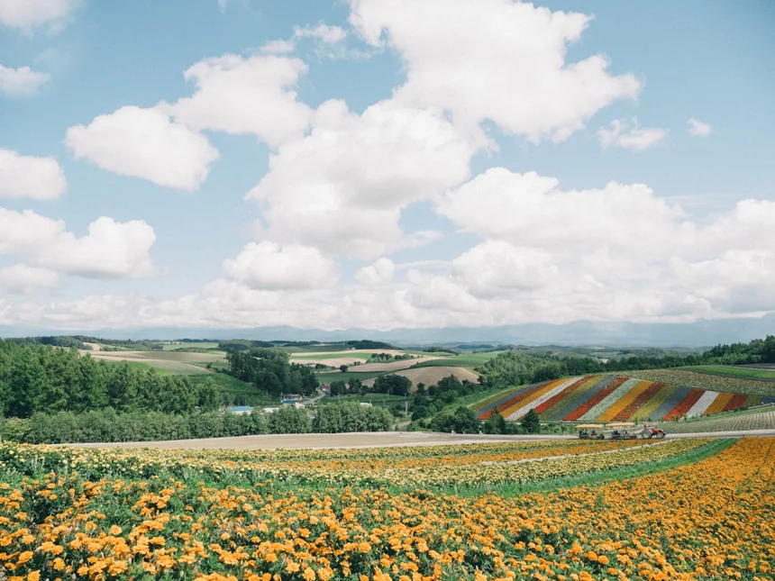 Hokkaido
