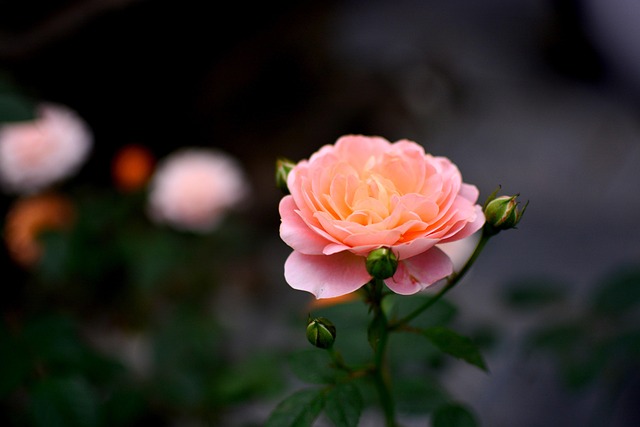 일본환전