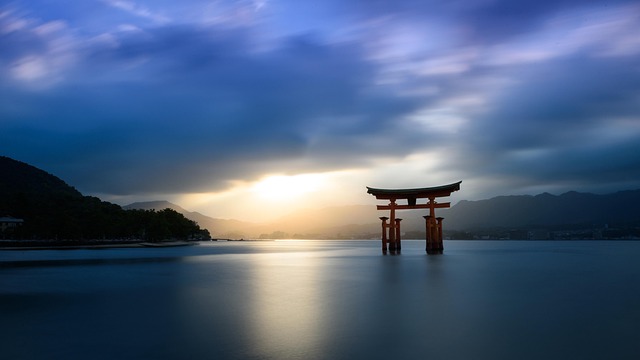도쿄의 바쁜 거리와 지도 들고 걷는 모습