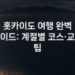 홋카이도 여행 완벽 가이드: 계절별 코스·교통 팁