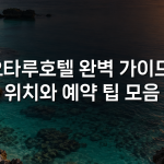 오타루호텔 완벽 가이드: 위치와 예약 팁 모음